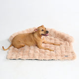Beige Calm Couch Bed