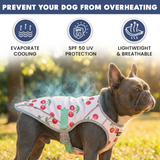 Cherries Watermelon||size:S,M,L,XL,2XL,3XL,4XL,5XL