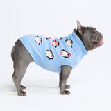 Maglione per cani – Pinguino