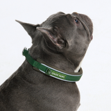 Green Collar||size:A,B