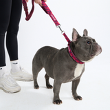 Fuchsia Camo Collar||size:A,B