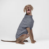 Maglione a trecce per can - Grigio