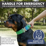 Collare tattico per cani - Lime Wave