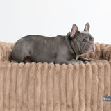 Cuccia Copridivano di Lusso - Marrone