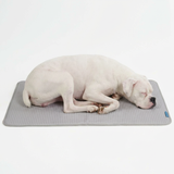 Waffle Grey||size:XL