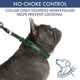 Green Martingale Collar||size:A,B