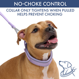 Lilac Martingale Collar||size:C,D,E