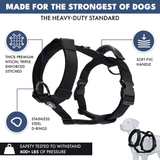 Black Harness||size:S,M,L