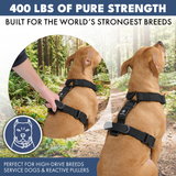 Black Harness||size:S,M,L