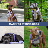 Lilac Harness||size:S,M,L