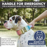 Collare tattico per cani - Glassa Pastello