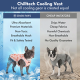 Peaches Cooling Vest||size:S,M,L,XL,2XL,3XL,4XL