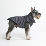 Black PuffShield Jacket||size:S,M