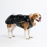 Giacca invernale a scivolo - Nero Lucido