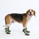 Stivaletti da pioggia per cani, Scarpette impermeabili per cani - Verde