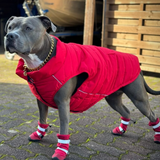 Stivali per cani resistenti all'acqua con struttura flessibile - Rosso