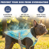 Snow Cone Tropical Storm||size:S,M,L,XL,2XL,3XL,4XL,5XL