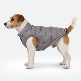 Grey Thermosonic Winter Jacket||size:M