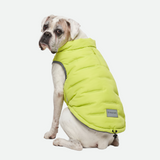 Neon Thermosonic Winter Jacket||size:3XL