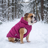 Magenta Thermosonic Winter Jacket||size:S,M,L,XL,2XL,3XL,4XL