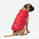 Red Thermosonic Winter Jacket||size:4XL