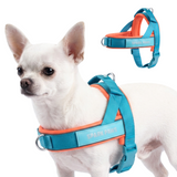 Teal Apricot Grab and Go||size:1