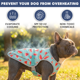 Watermelon Cooling Vest||size:S,M,L,XL,2XL,3XL,4XL