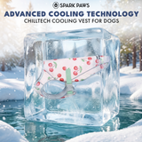 Cherries Popsicles||size:S,M,L,XL,2XL,3XL,4XL,5XL