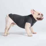 Maglietta per cani con protezione solare - Grigio scuro