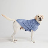 Maglione a trecce per can - Blu