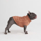 Maglione a trecce per can - Marrone