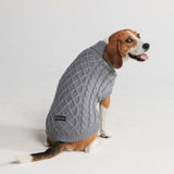 Maglione a trecce per can - Grigio