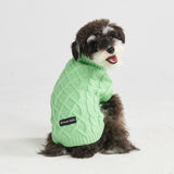 Maglione a trecce per can - Verde menta