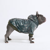 Felpe Concrete Wood per cani – Legno