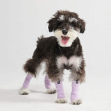 Manicotti Riscaldanti in Pile Elasticizzato per Gambe - Lilla