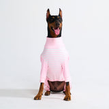 Pigiama per Cani - Strisce Rosa