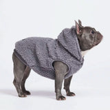 Giacca Teddy Sherpa - Multipla