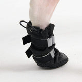 Stivali per cani resistenti all'acqua con struttura flessibile - Nero