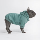 Maglione Essenziale per Cani - Turchese
