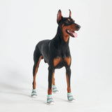 Scarpe per cani Hot Pavement Pawtector - Verde acqua
