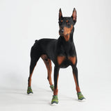 Scarpe per cani Hot Pavement Pawtector - Verde