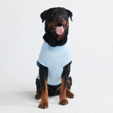T-shirt per cani Sunblock - Blu
