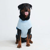 T-shirt per cani Sunblock - Blu