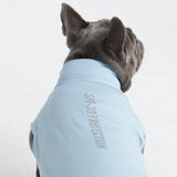 T-shirt per cani Sunblock - Blu