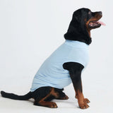 T-shirt per cani Sunblock - Blu