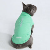 Maglietta per cani Sunblock - Menta