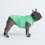 Maglietta per cani Sunblock - Menta