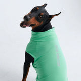 Maglietta per cani Sunblock - Menta