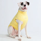 T-shirt per cani Sunblock - Gialla