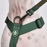 Set di imbracatura per cani Comfort Control No-Pull - Verde Militare
